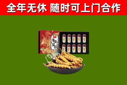 柳州回收冬虫夏草价格
